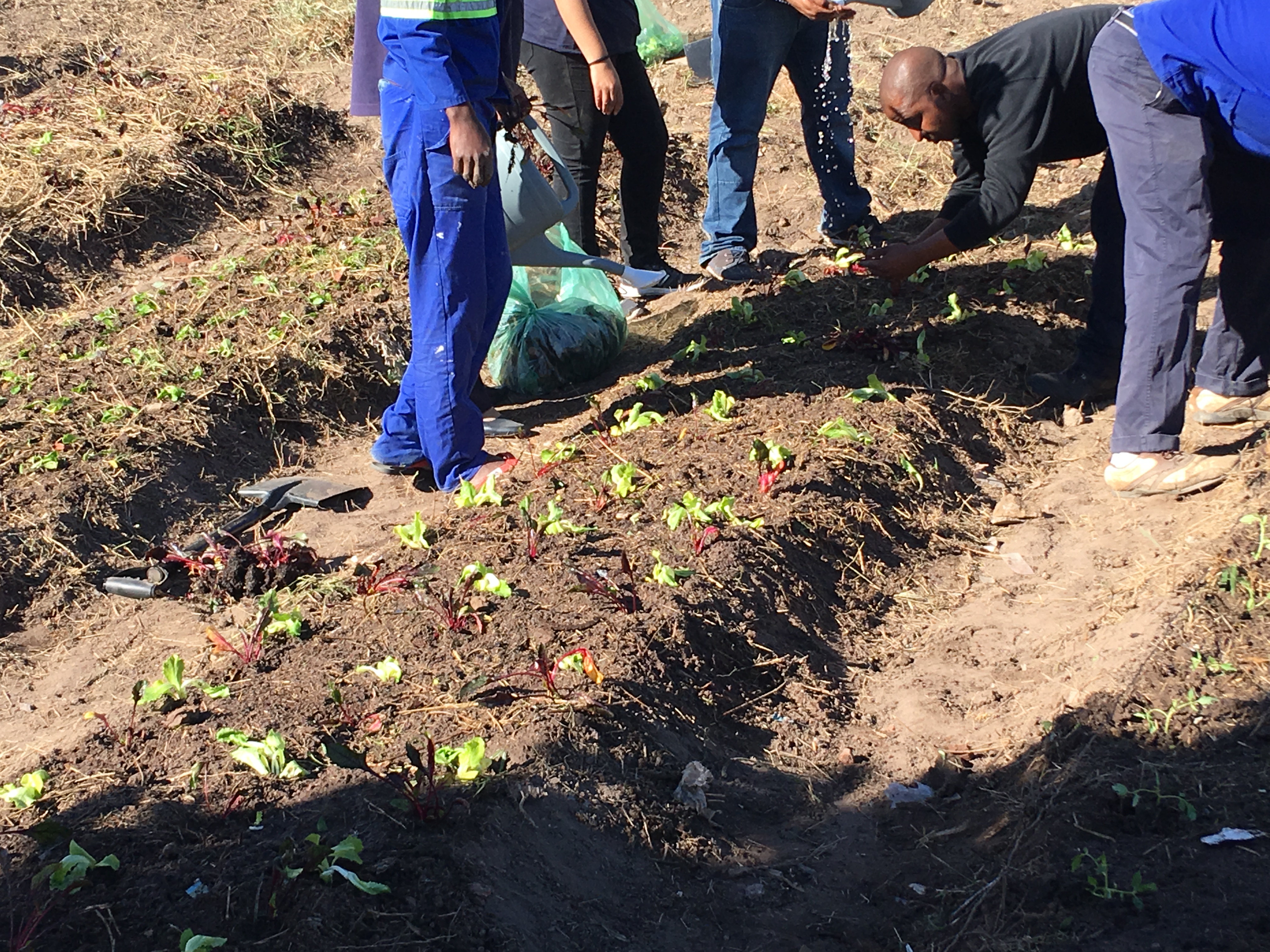 Cheshire Homes Durban - SCDIFA Cheshire Home Entrance